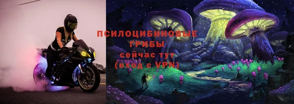 сатива Белокуриха