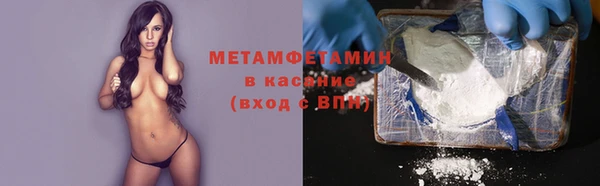 сатива Белокуриха