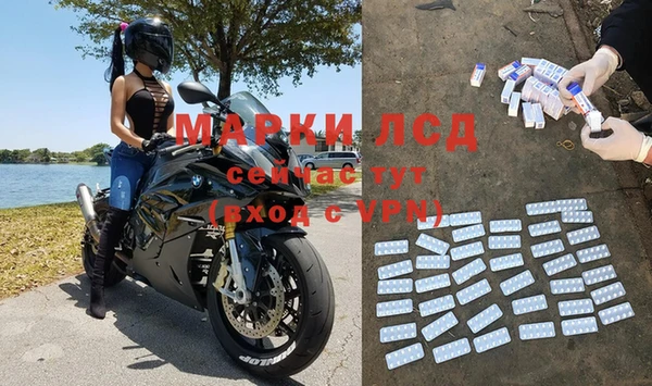 сатива Белокуриха