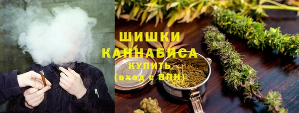 сатива Белокуриха