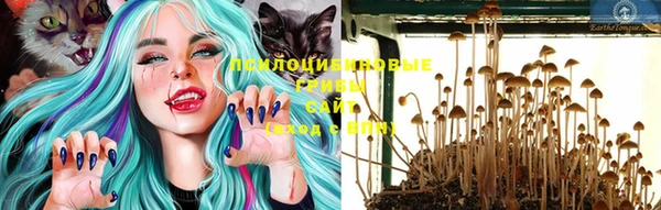 сатива Белокуриха