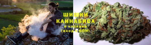 прущая мука Гусев