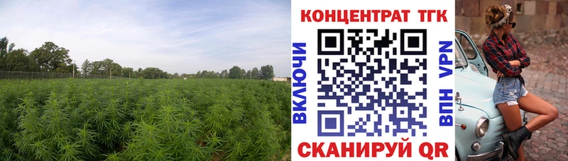 Дистиллят ТГК вейп  OMG ссылки  Володарск 